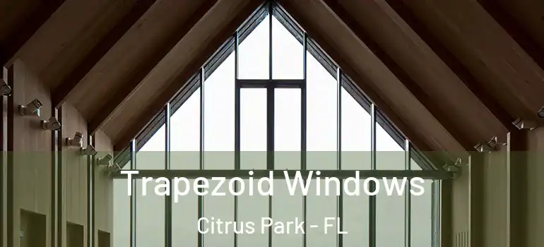 Trapezoid Windows Citrus Park - FL