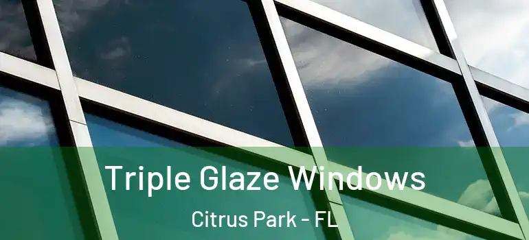 Triple Glaze Windows Citrus Park - FL