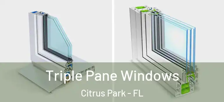 Triple Pane Windows Citrus Park - FL