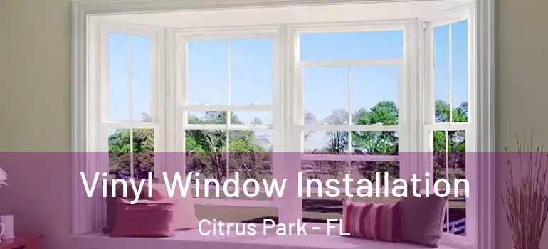 Vinyl Window Installation Citrus Park - FL