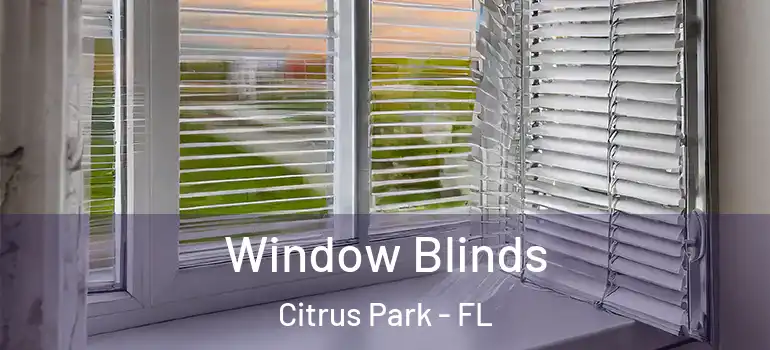 Window Blinds Citrus Park - FL