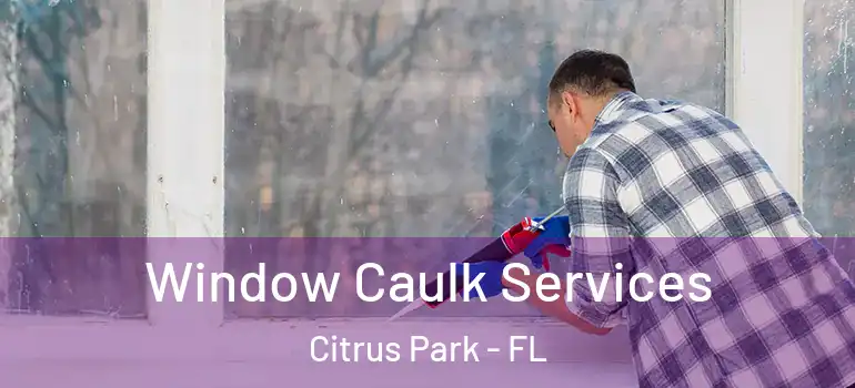 Window Caulk Services Citrus Park - FL