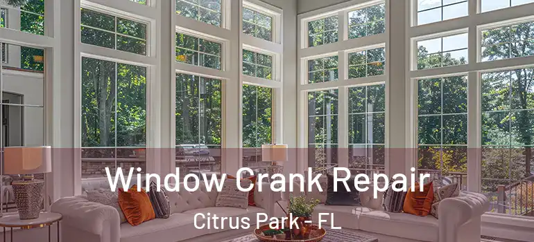 Window Crank Repair Citrus Park - FL