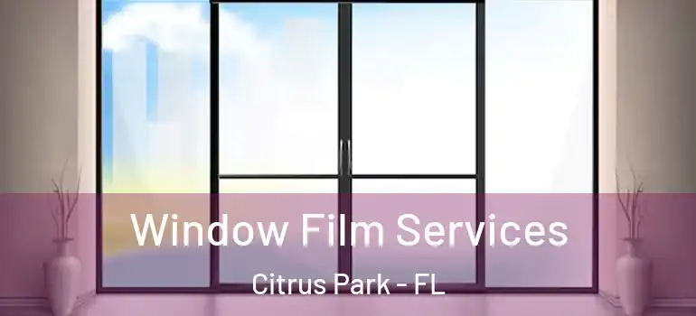 Window Film Services Citrus Park - FL