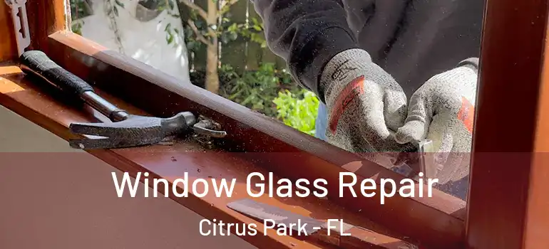 Window Glass Repair Citrus Park - FL