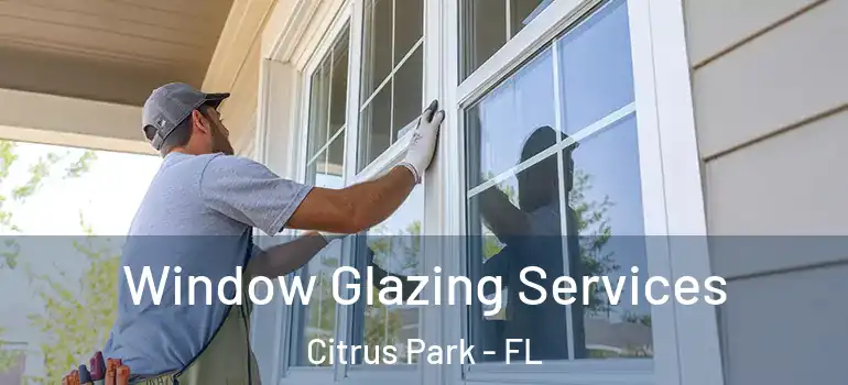 Window Glazing Services Citrus Park - FL
