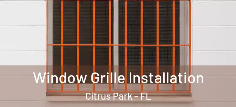 Window Grille Installation Citrus Park - FL