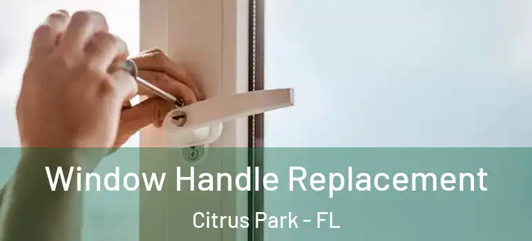 Window Handle Replacement Citrus Park - FL