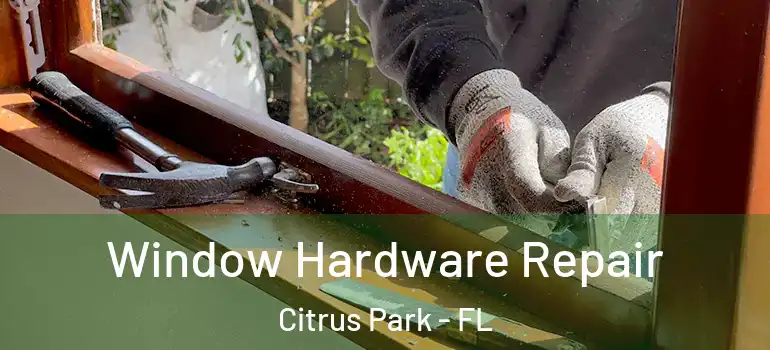Window Hardware Repair Citrus Park - FL