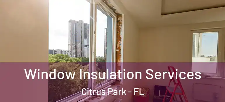 Window Insulation Services Citrus Park - FL