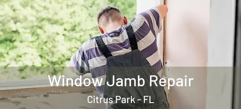 Window Jamb Repair Citrus Park - FL