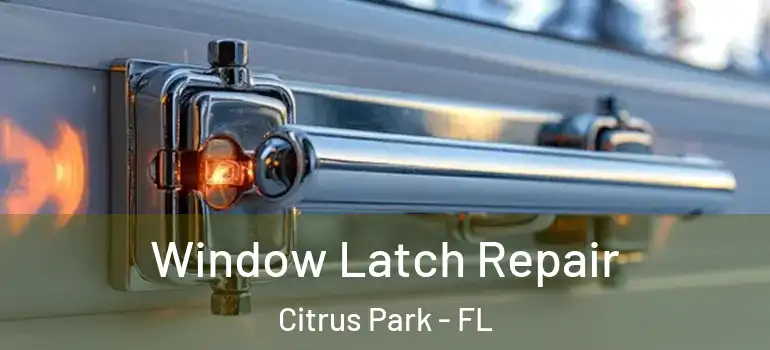 Window Latch Repair Citrus Park - FL