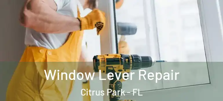 Window Lever Repair Citrus Park - FL