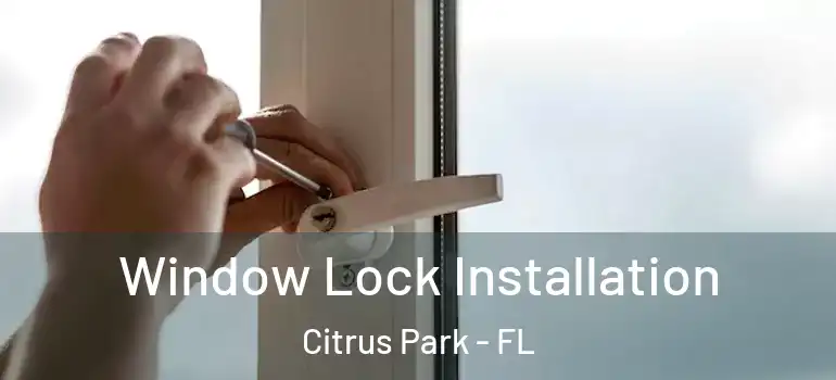 Window Lock Installation Citrus Park - FL