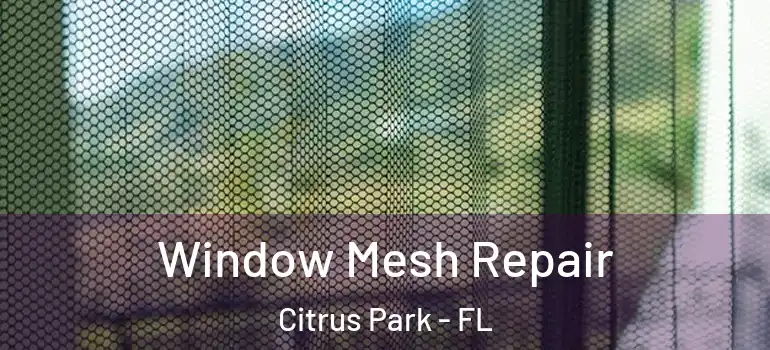 Window Mesh Repair Citrus Park - FL