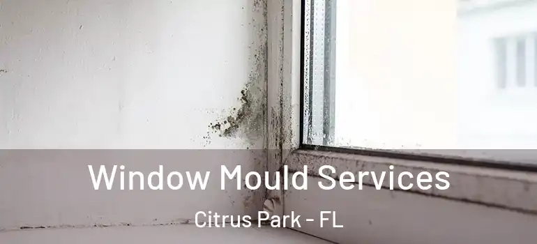 Window Mould Services Citrus Park - FL