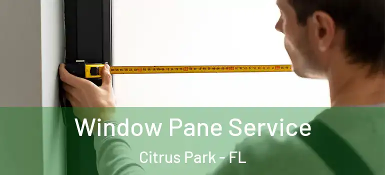 Window Pane Service Citrus Park - FL