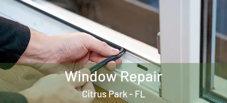 Window Repair Citrus Park - FL