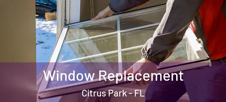 Window Replacement Citrus Park - FL