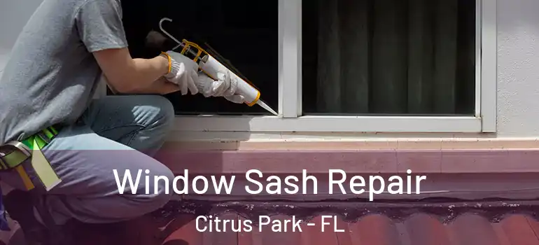 Window Sash Repair Citrus Park - FL