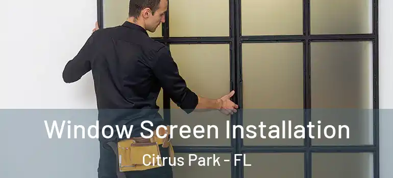 Window Screen Installation Citrus Park - FL