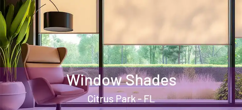 Window Shades Citrus Park - FL
