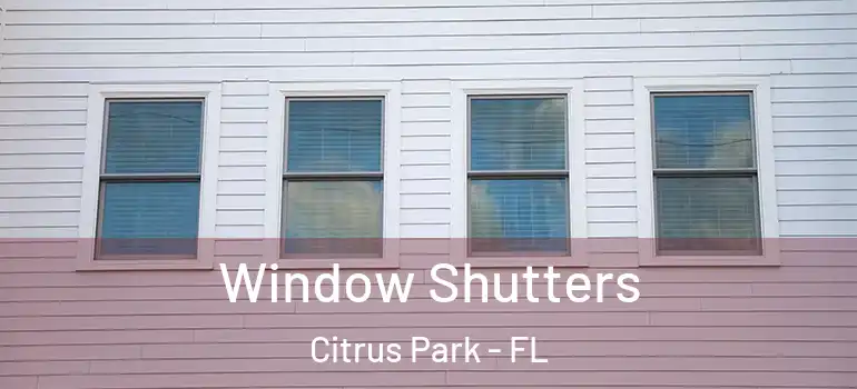 Window Shutters Citrus Park - FL