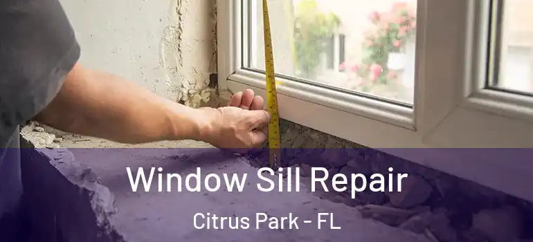 Window Sill Repair Citrus Park - FL