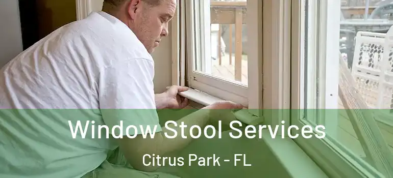Window Stool Services Citrus Park - FL