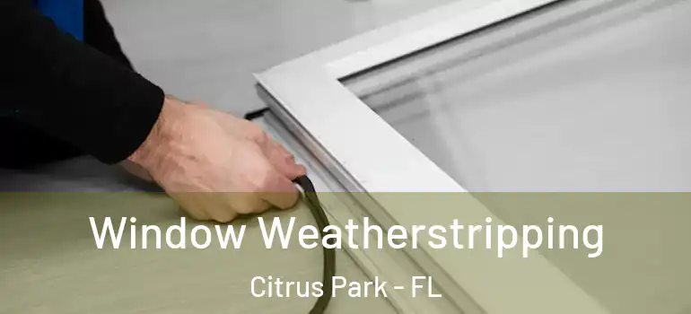 Window Weatherstripping Citrus Park - FL