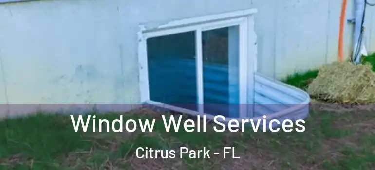 Window Well Services Citrus Park - FL