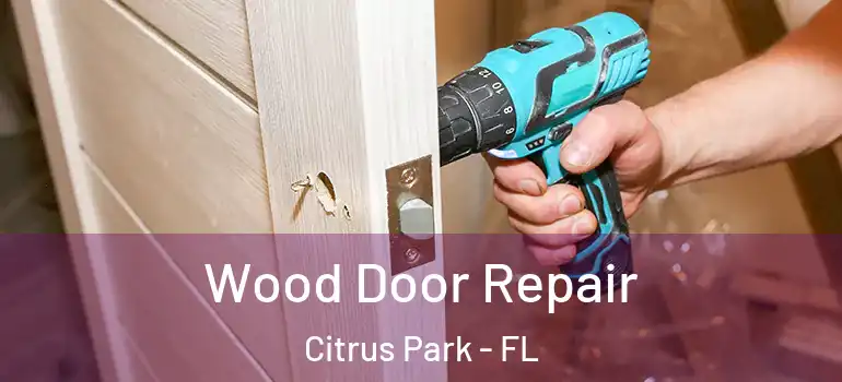 Wood Door Repair Citrus Park - FL