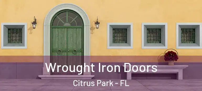 Wrought Iron Doors Citrus Park - FL